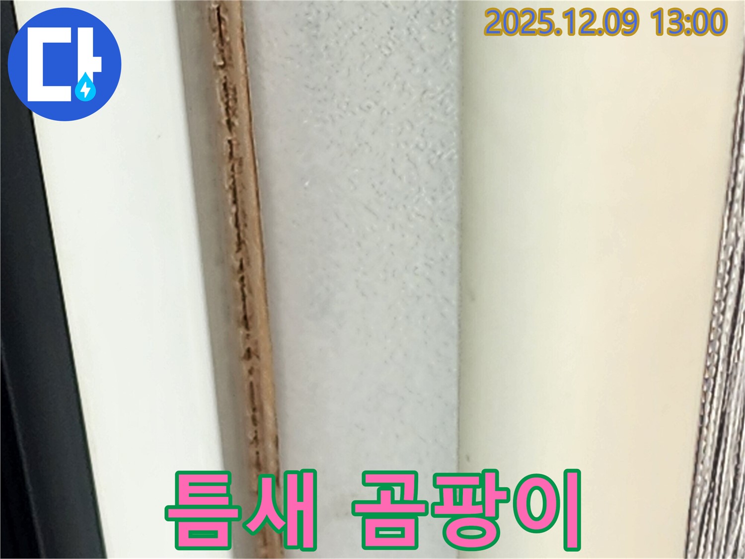 창틀 틈새 곰팡이 - 미관상 좋지 않습니다.