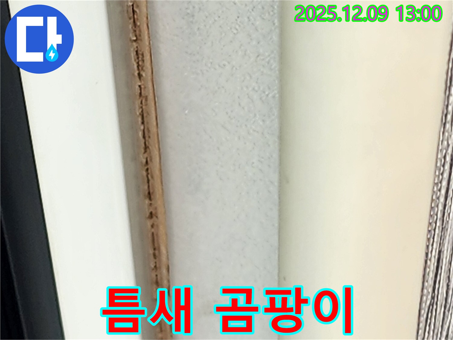 창틀 틈새 곰팡이 - 재발 가능성이 높습니다.