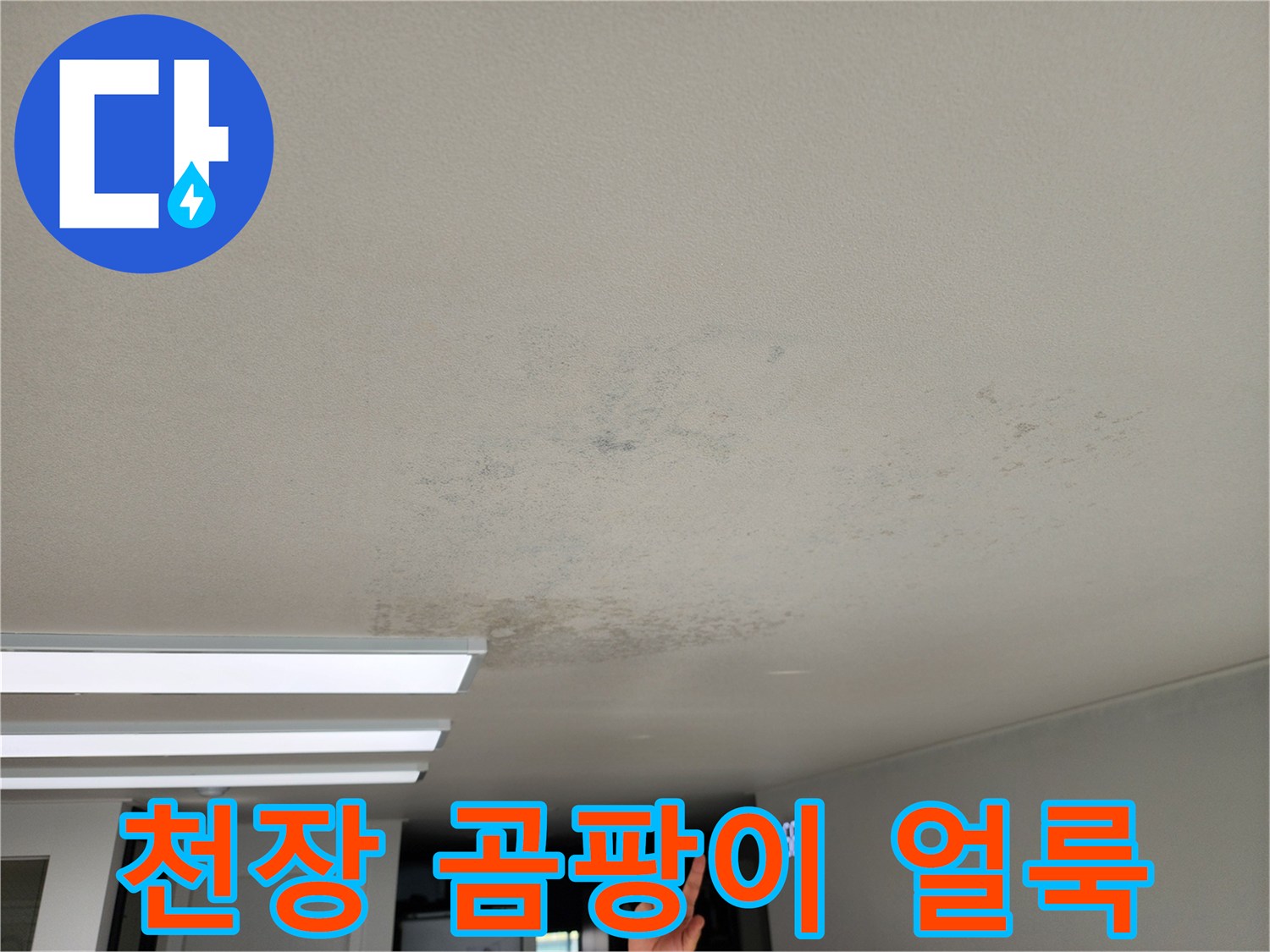 천장 전체에 퍼져 있는 습기와 곰팡이 흔적