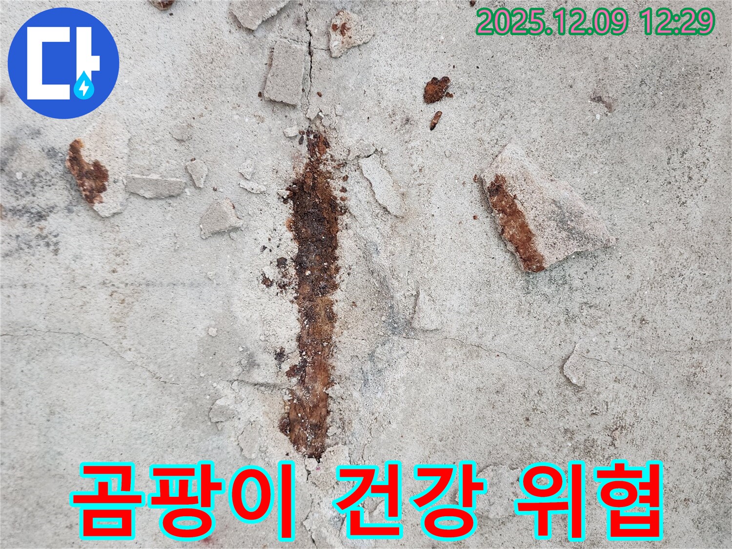 철근 부식 - 곰팡이 발생과 건강 위협