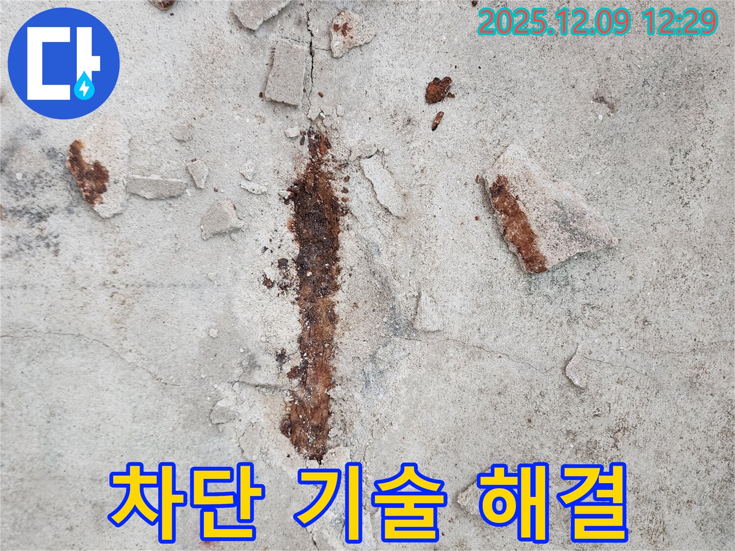 철근 부식 - 완벽한 차단 기술력으로 문제 해결