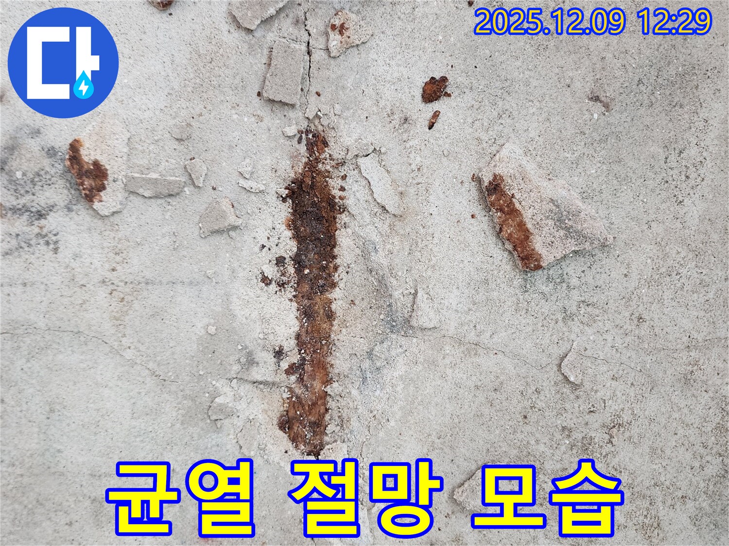 콘크리트 균열 - 녹슨 철근의 절망적인 모습