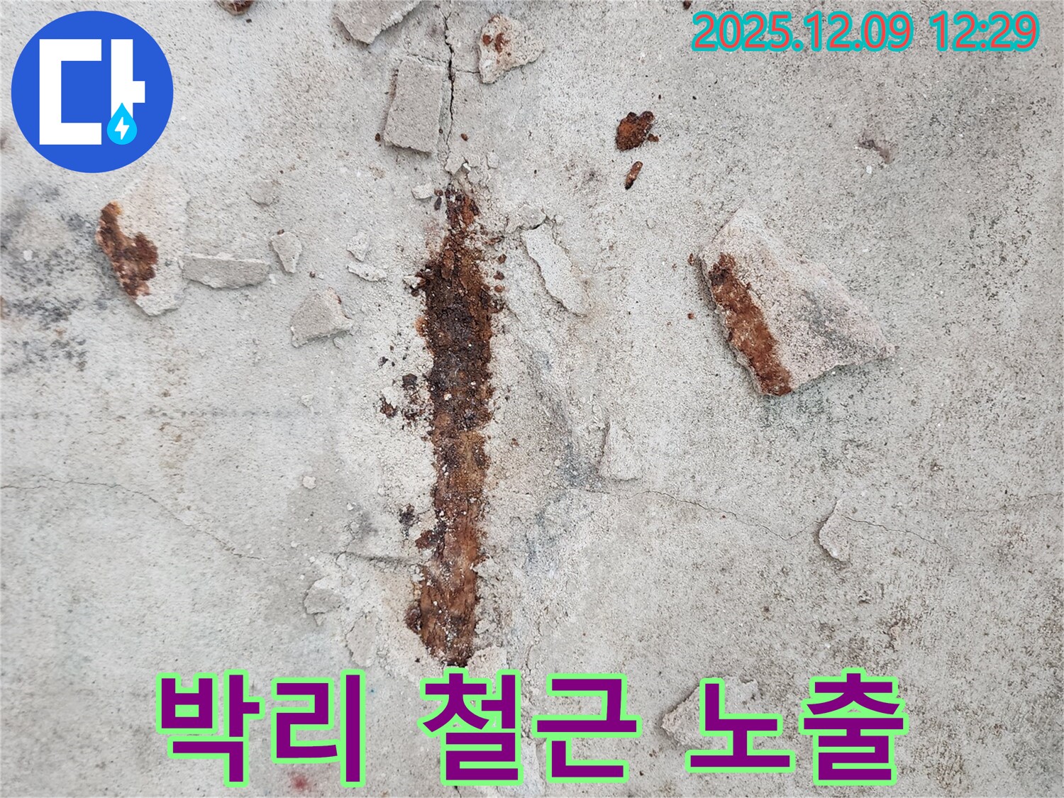 콘크리트 박리 - 철근 노출로 인한 구조적 위험