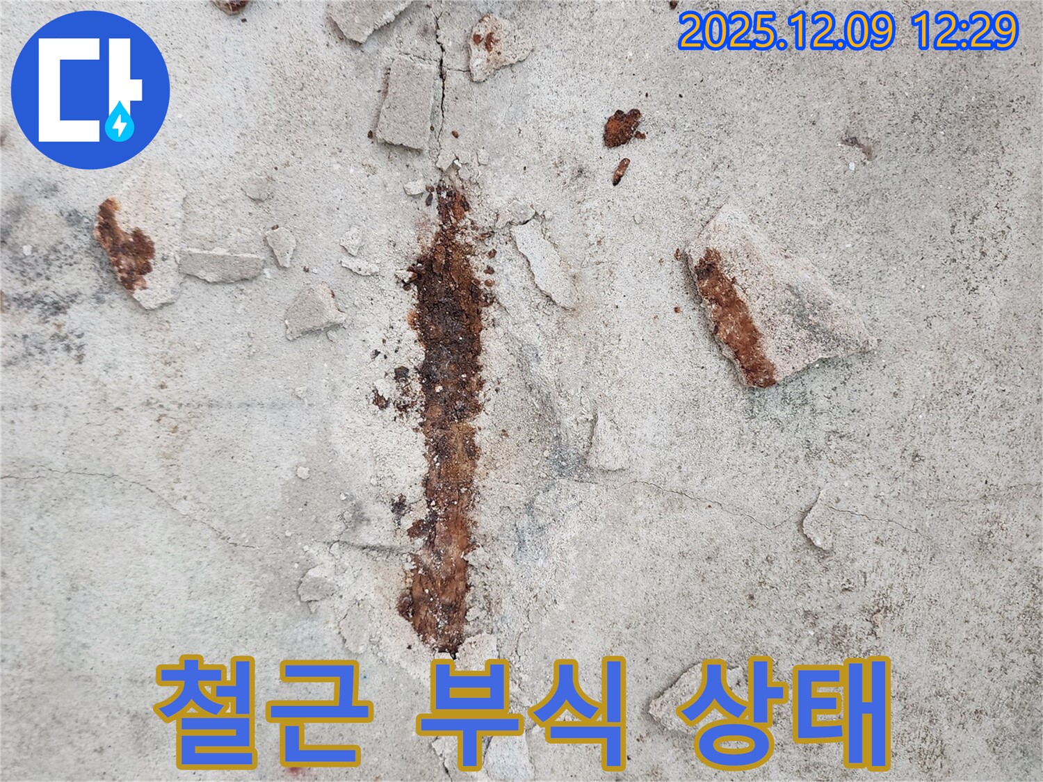 콘크리트 속 철근 부식 상태 - 전문적인 진단과 해결책 제시