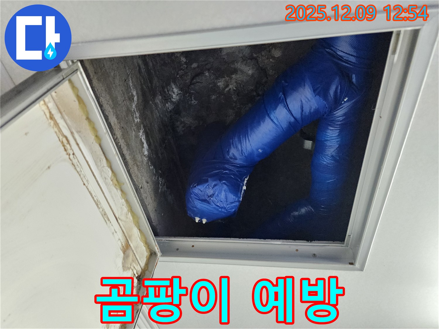 포천 누수 - 영중면 성동리 천장 누수, 곰팡이 생기기 전에 미리 해결하세요!