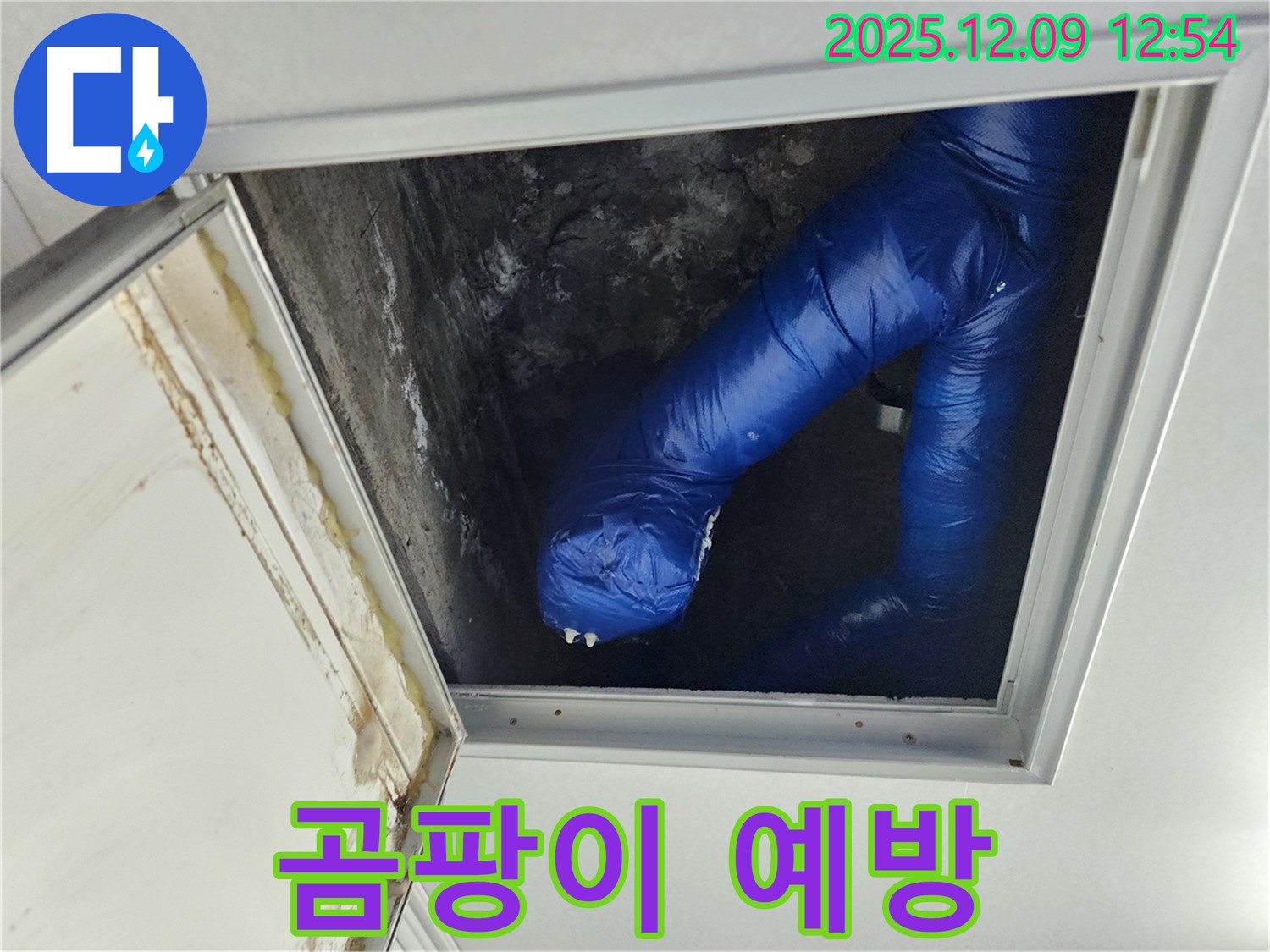 포천 누수 - 영중면 천장 누수, 곰팡이 생기기 전에 미리 해결하세요!