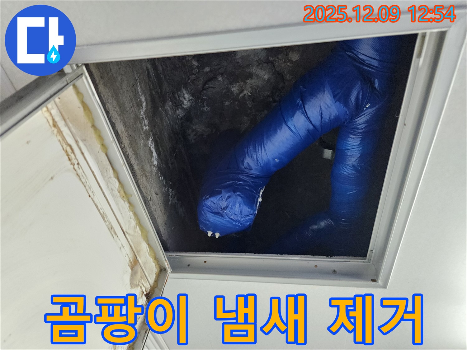 포천 누수 해결 - 영중면 천장 누수, 곰팡이 냄새 Bye Bye!