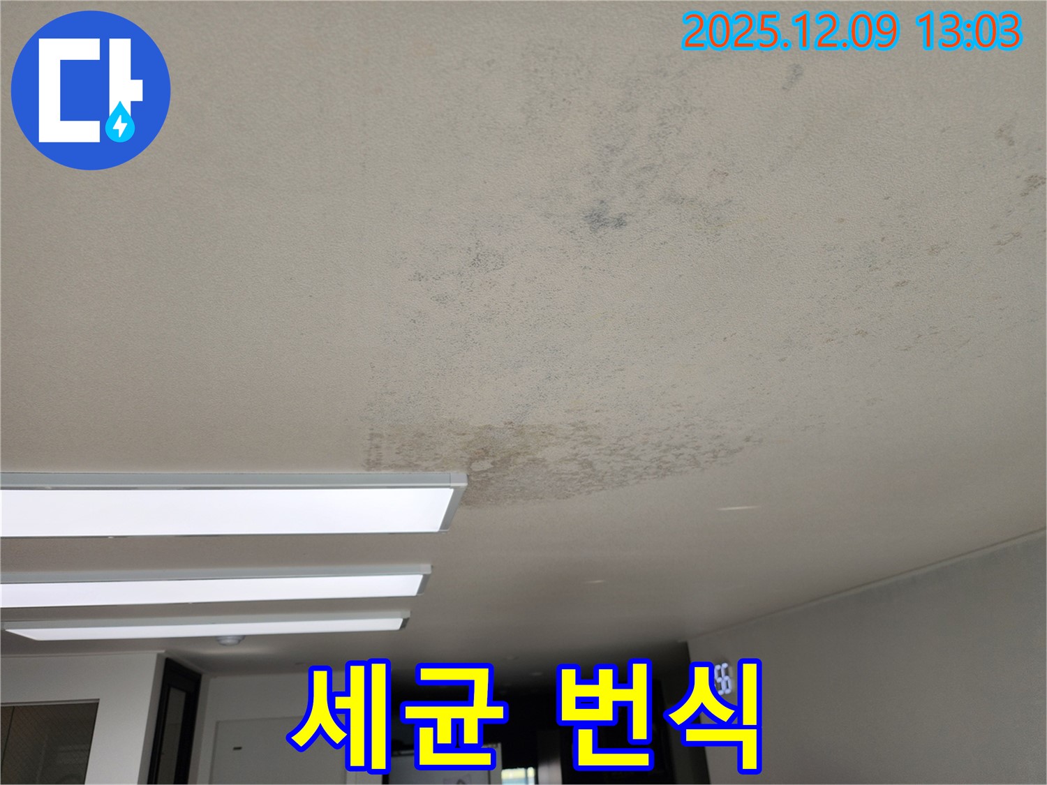 포천 영중면 - 곰팡이, 악취, 세균 번식 - 꼼꼼하게