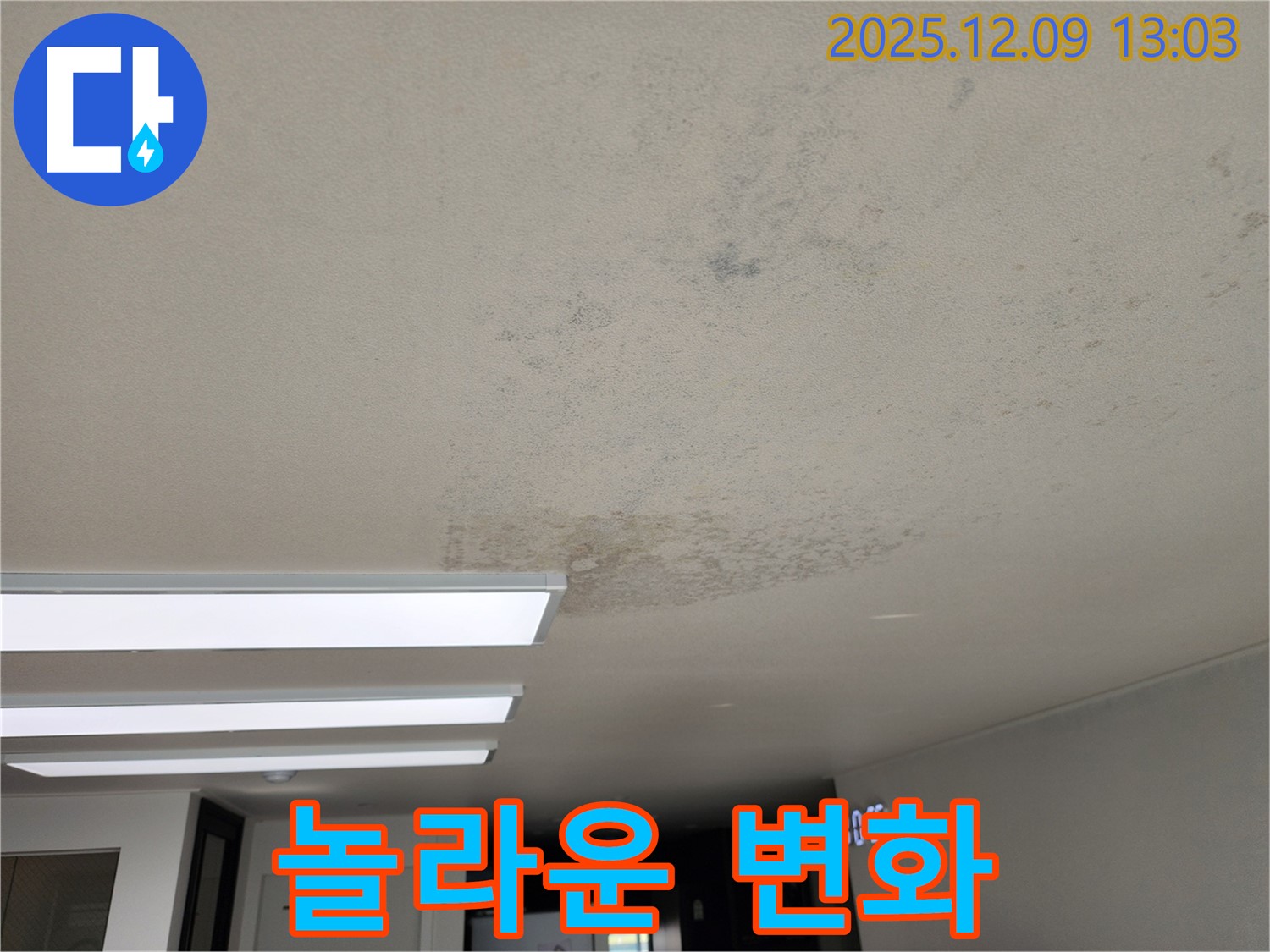 포천 영중면 - 곰팡이 쾌적한 공간으로 변신 - 놀라운 변화