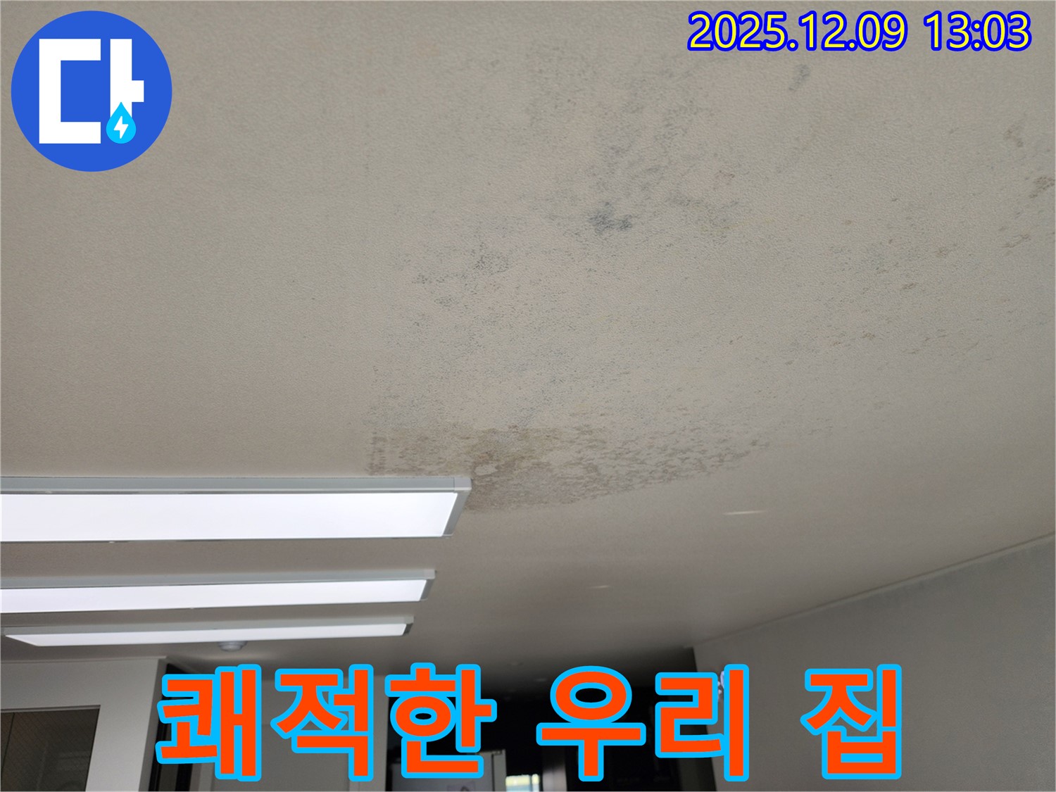 포천 영중면 - 곰팡이 쾌적한 우리 집 만들기