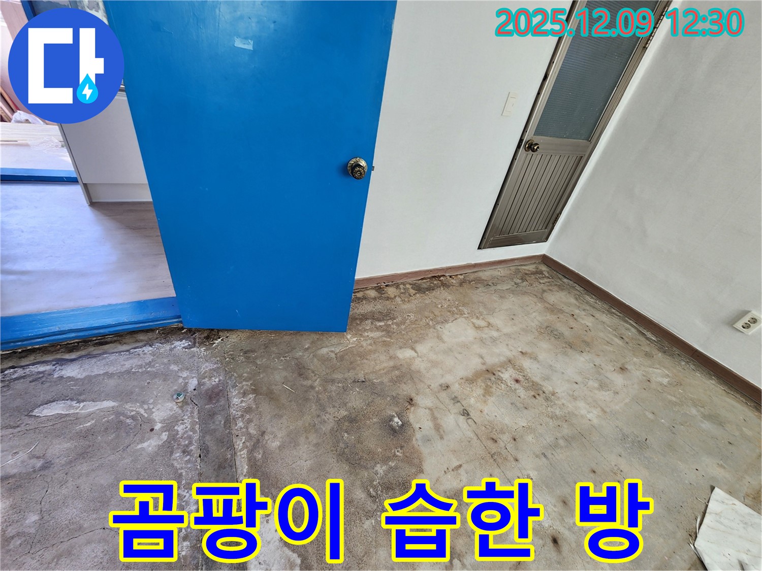 포천 영중면 곰팡이 핀 습한 방 누수 - 쾌적한 공간으로 변신