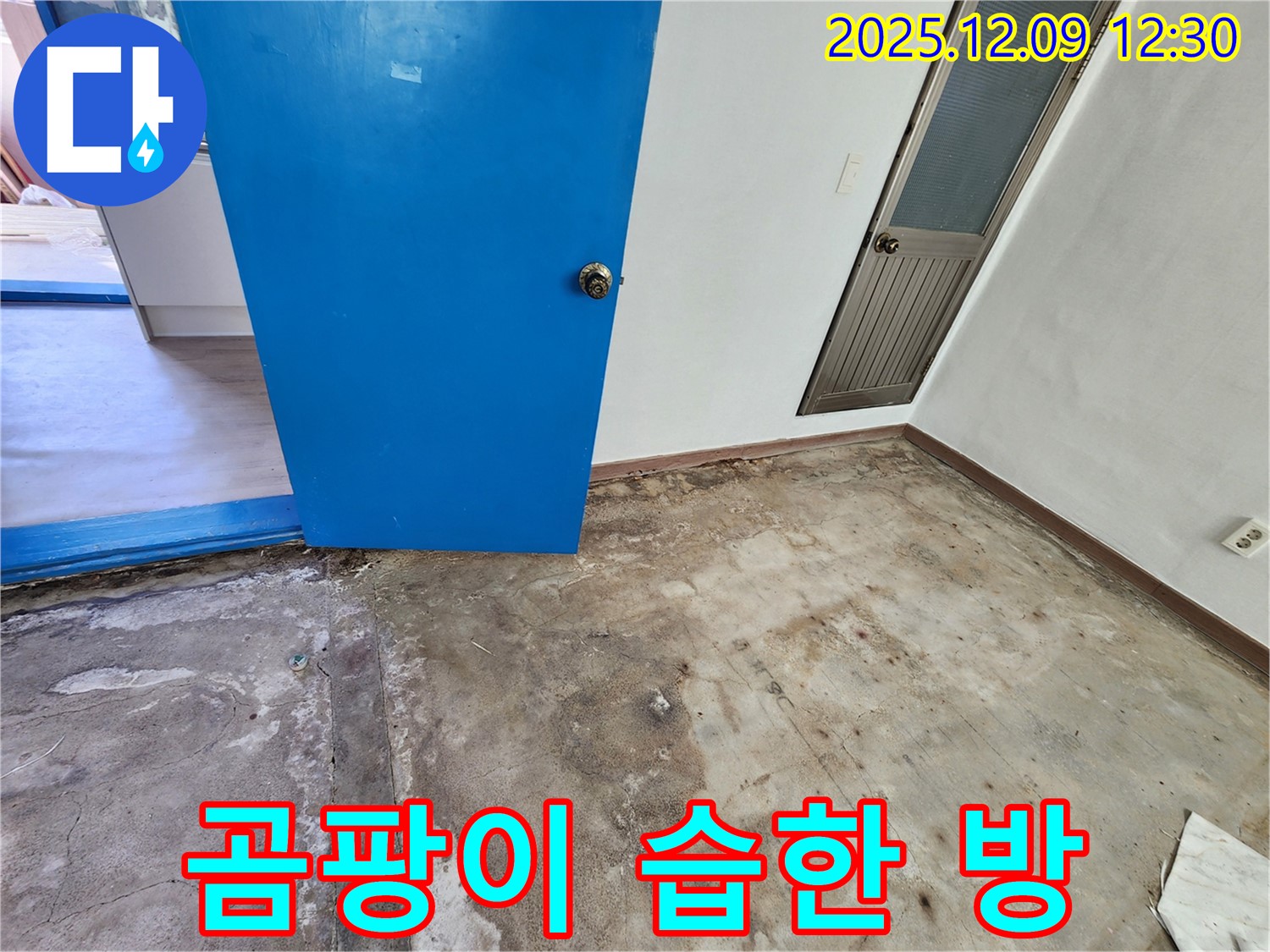 포천 영중면 곰팡이 핀 습한 방 누수 - 쾌적한 공간으로 변신