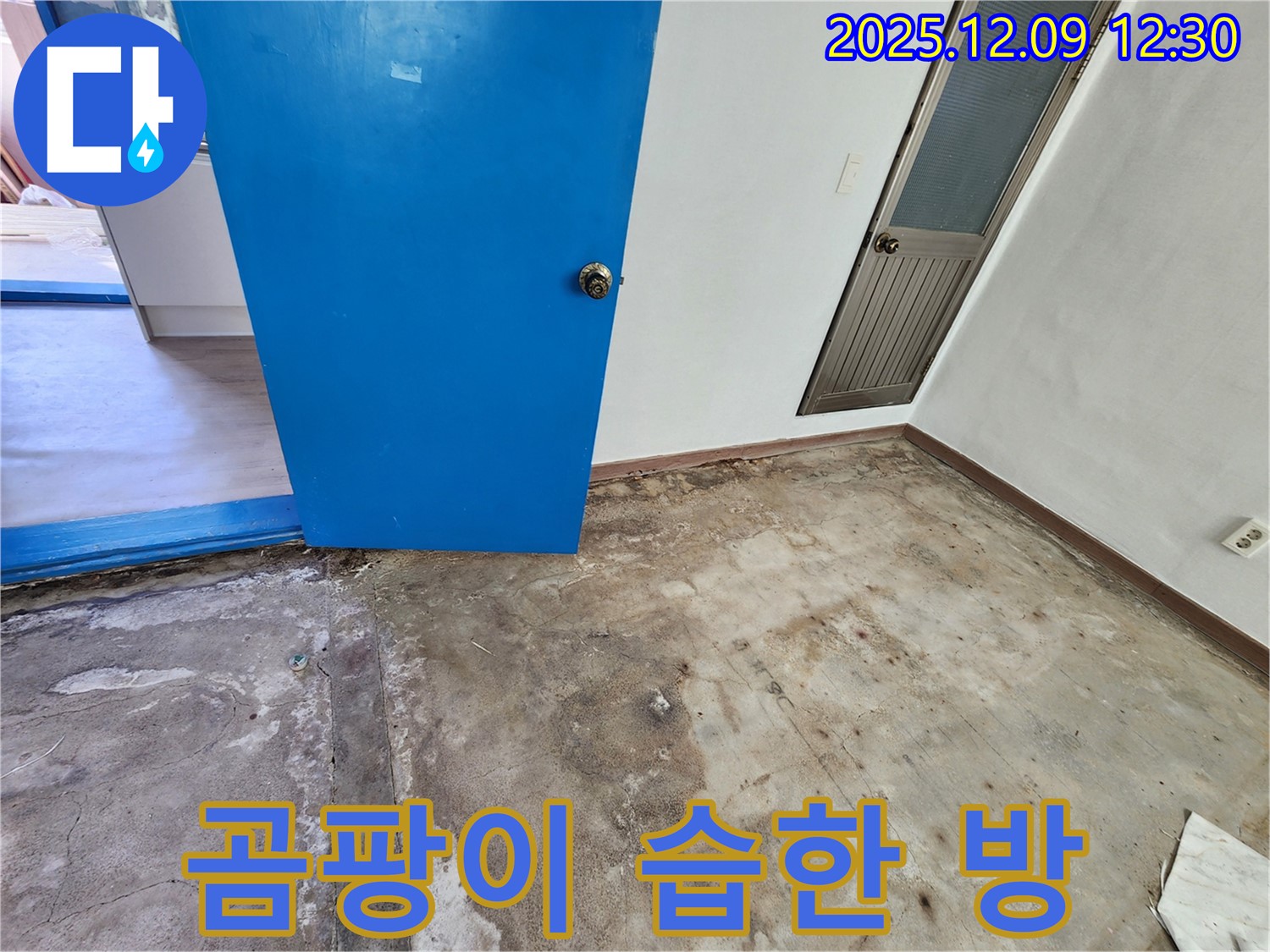 포천 영중면 곰팡이 핀 습한 방 누수 - 쾌적한 공간으로 변신