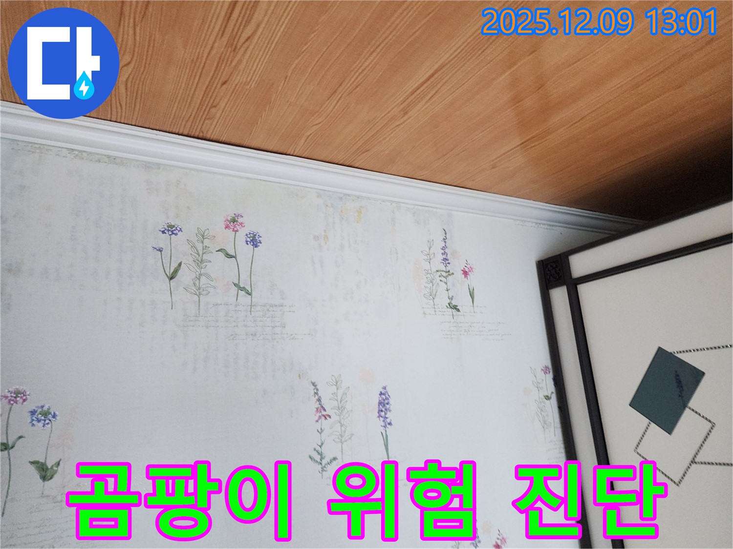 포천 영중면 누수 현장 - 곰팡이 발생 위험 정밀 진단