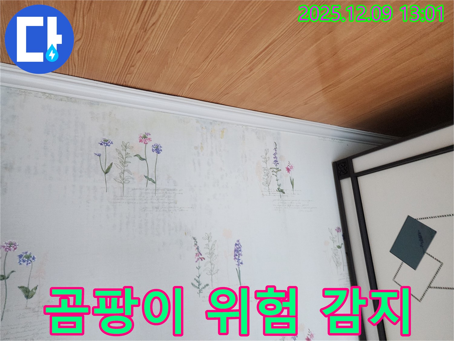 포천 영중면 누수 현장 - 곰팡이 발생 직전 위험 감지