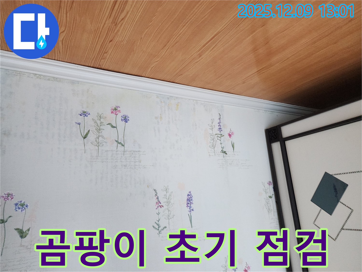 포천 영중면 누수 현장 - 곰팡이 발생 초기 골든 타임 확보