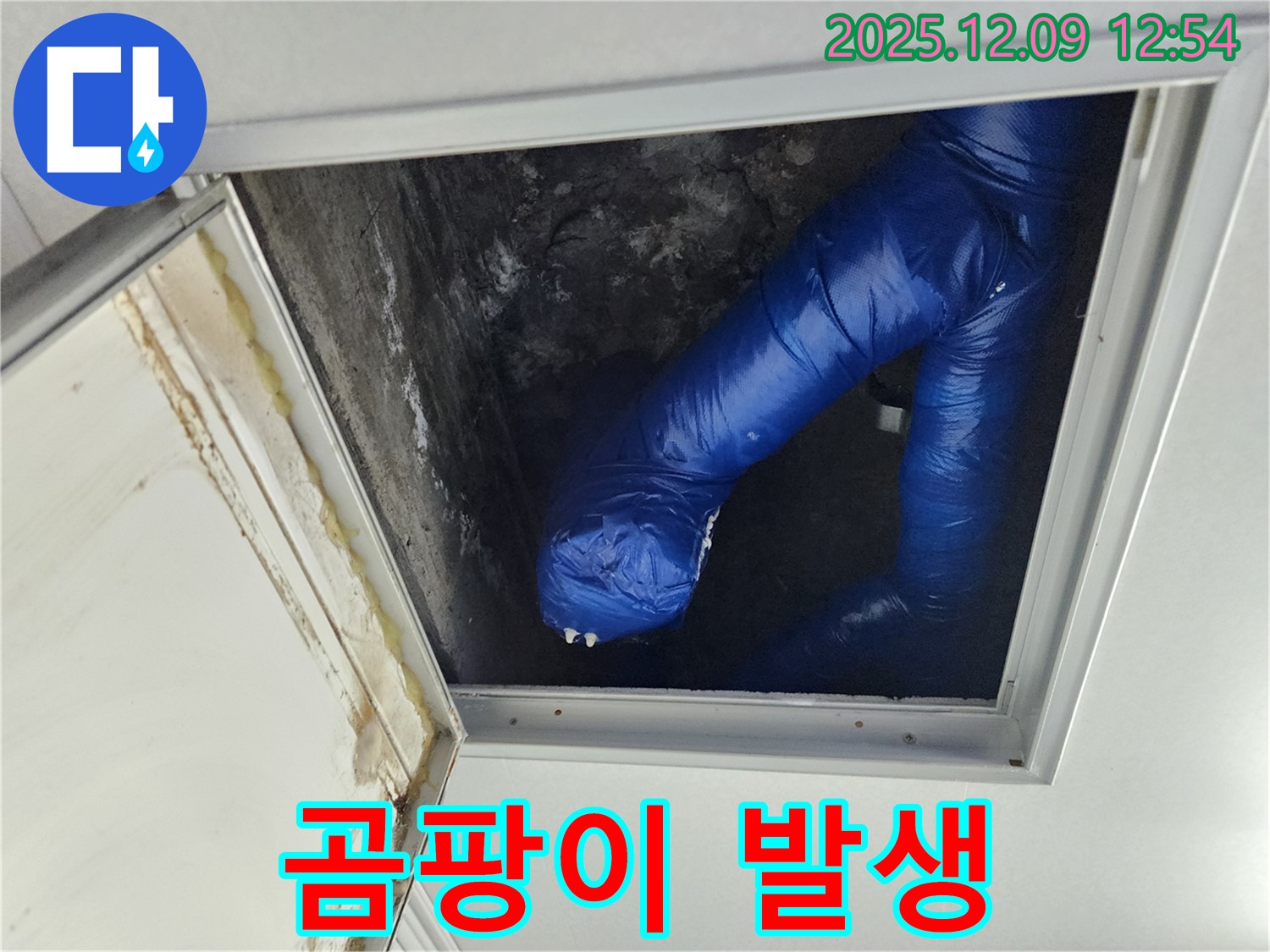 포천 영중면 누수탐지 - 천장 속 누수, 곰팡이 발생 전에 해결!