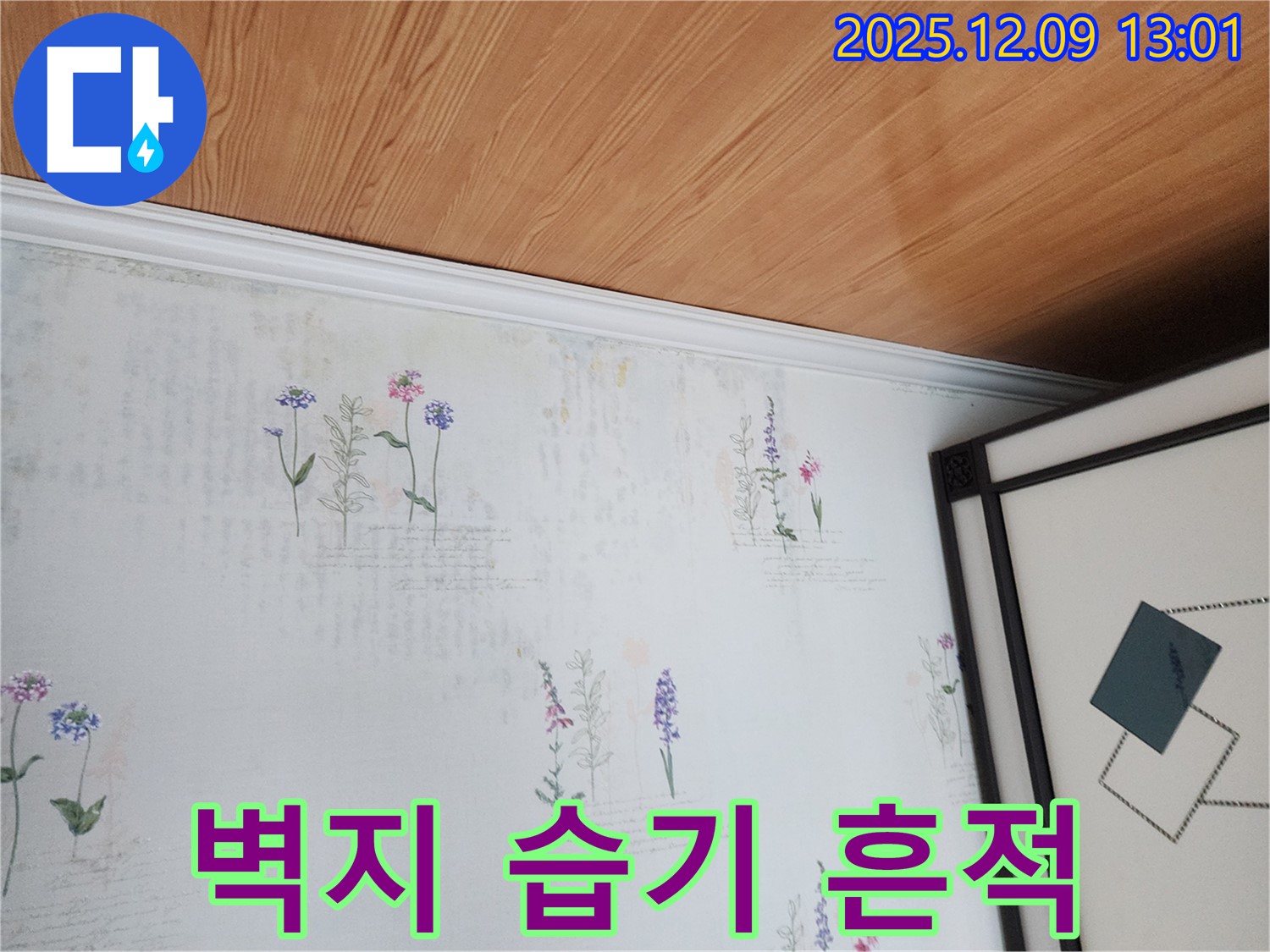 포천 영중면 성동리 누수 현장 - 벽지 곰팡이와 습기 흔적 발견