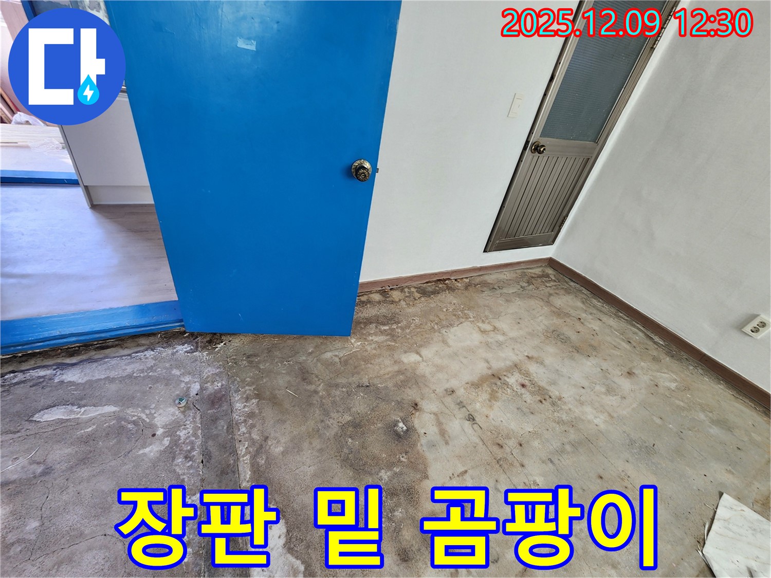 포천 영중면 장판 밑 곰팡이 누수 - 숨겨진 곰팡이까지 완벽 제거