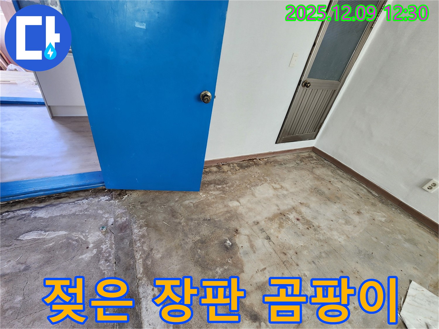 포천 영중면 젖은 장판 밑 누수 - 곰팡이 제거 후 뽀송