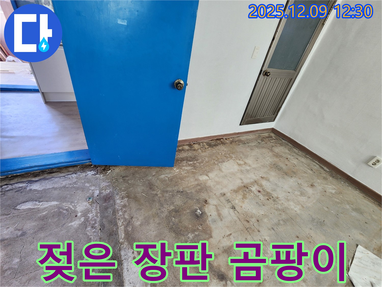 포천 영중면 젖은 장판 밑 누수 - 곰팡이 제거 후 뽀송