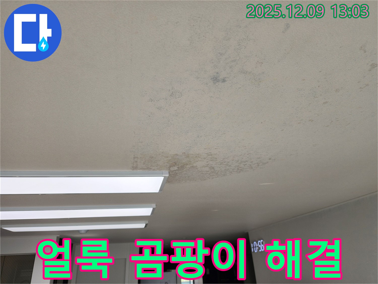 포천 영중면 - 천장 얼룩, 곰팡이, 냄새 한 번에 해결