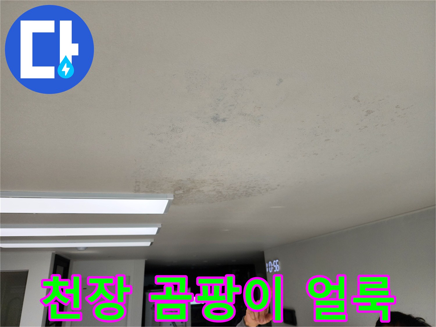 포천 영중면 현장의 천장 곰팡이 및 변색된 얼룩 사진