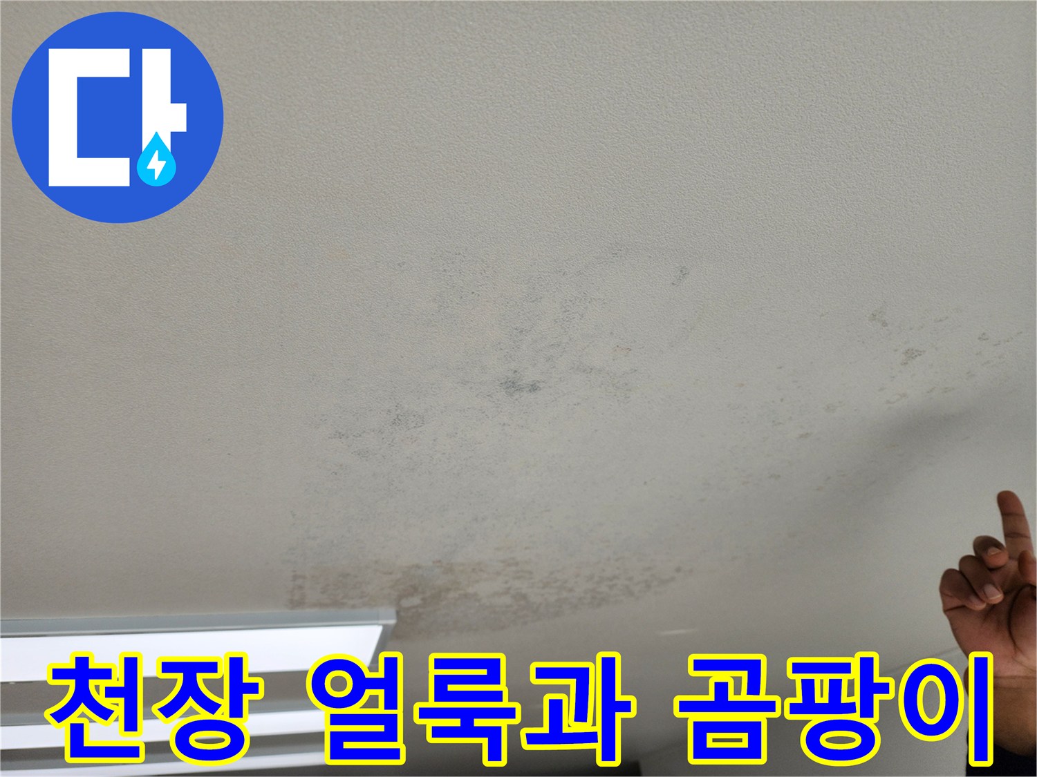 포천 영중면 현장의 천장 얼룩 및 곰팡이 발생 상태