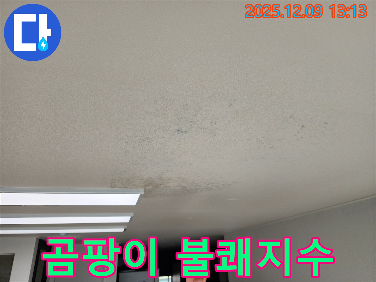 포천시 영중면 - 곰팡이, 불쾌지수 상승시키는 천장 누수