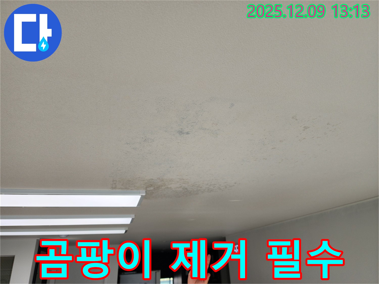 포천시 영중면 - 곰팡이, 쾌적한 실내 환경을 위한 필수 제거 대상