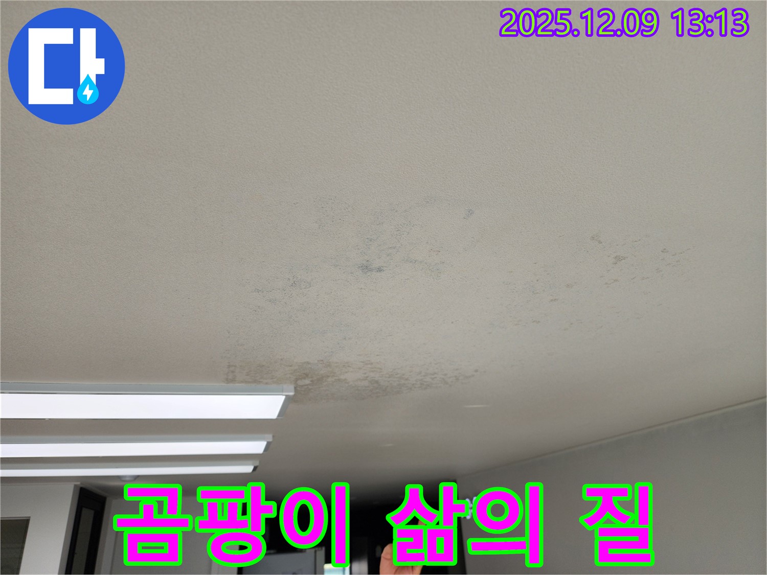 포천시 영중면 성동리 - 곰팡이, 삶의 질을 떨어뜨리는 천장 누수