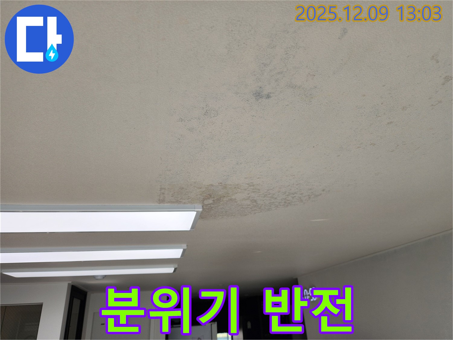 포천시 영중면 성동리 - 곰팡이 칙칙한 분위기 반전