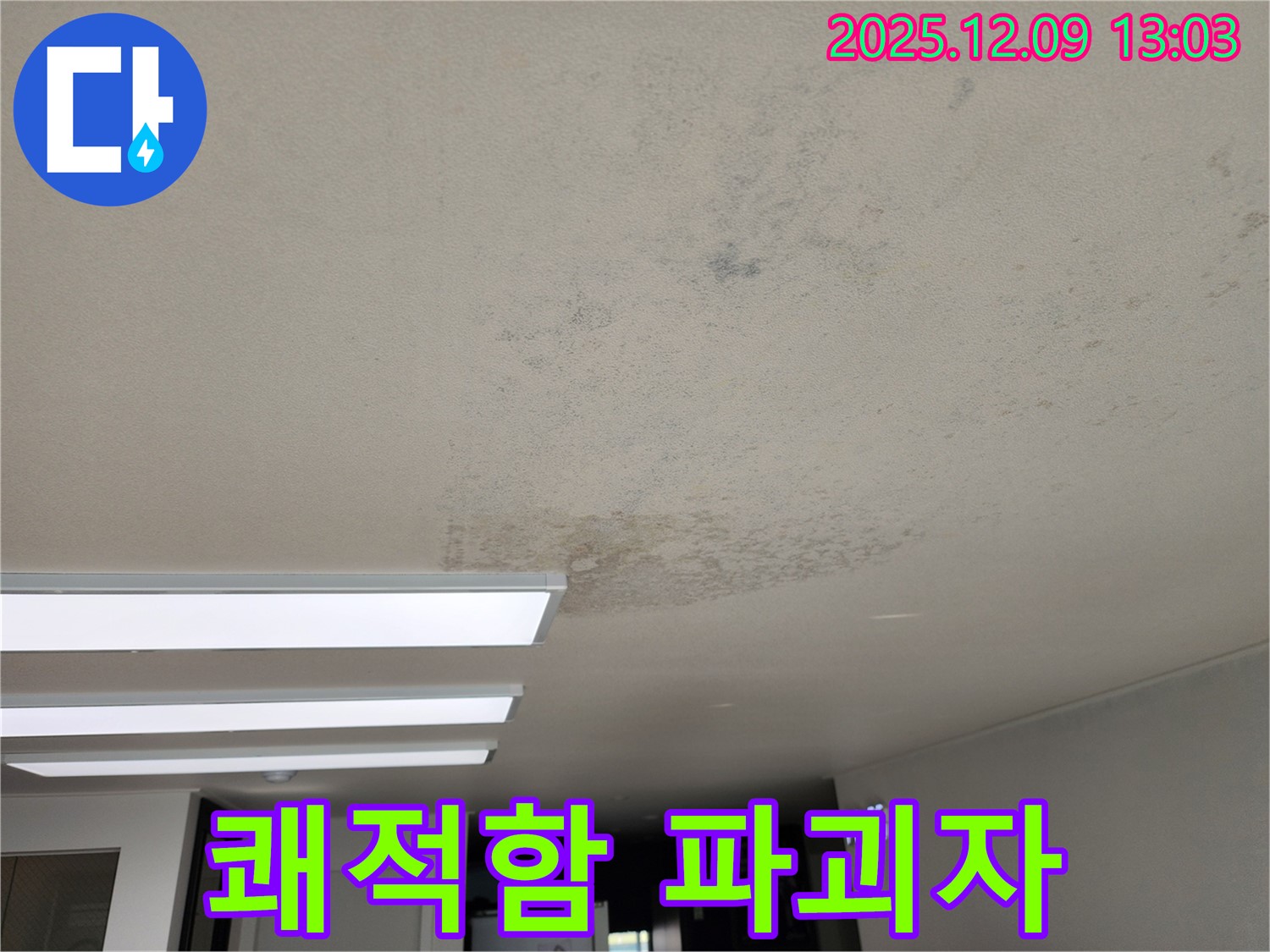 포천시 영중면 성동리 - 곰팡이 쾌적함을 앗아가는 존재