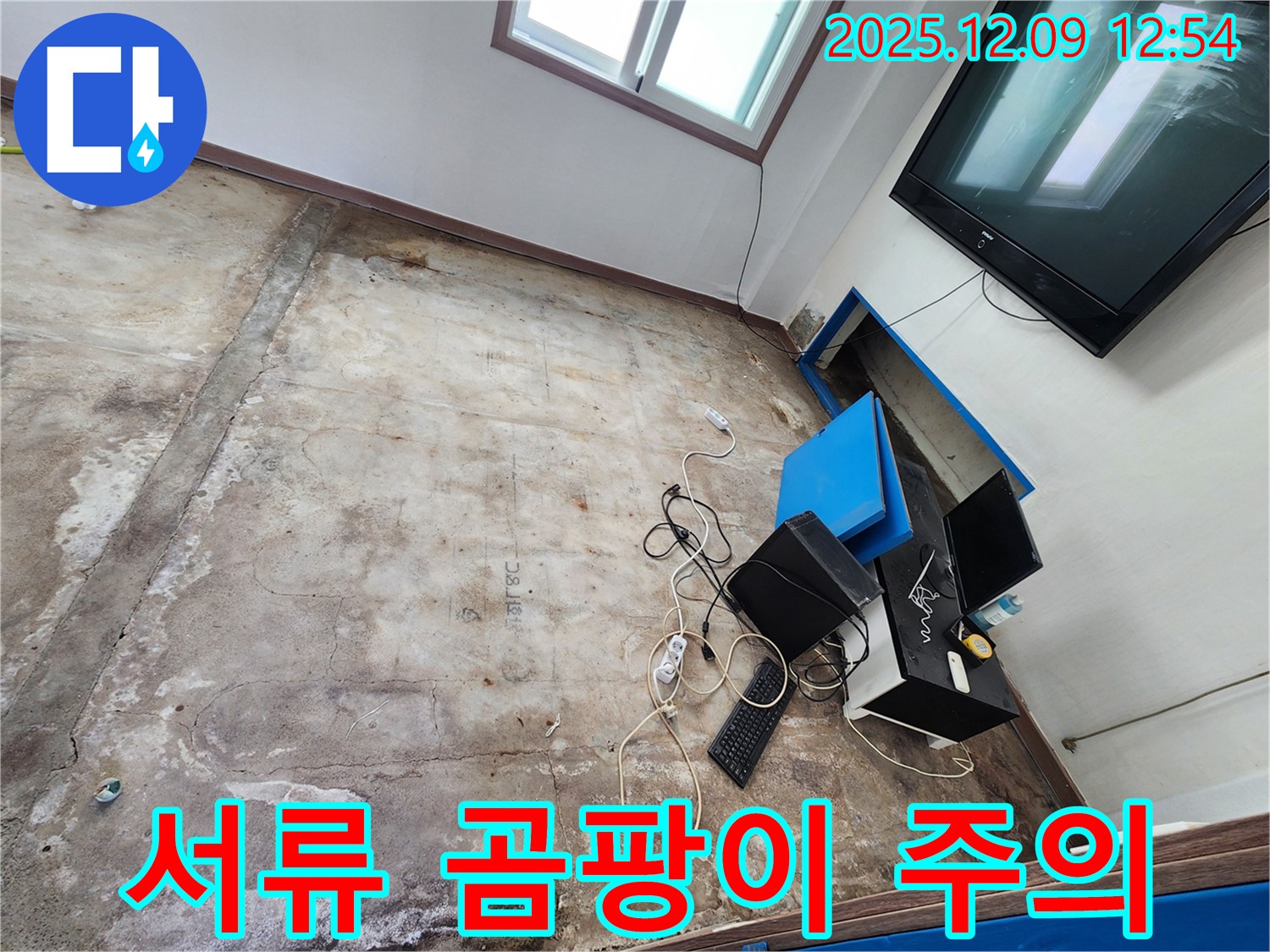 포천시 영중면 성동리 사무실 누수 - 물에 젖은 서류, 곰팡이 번식 주의!