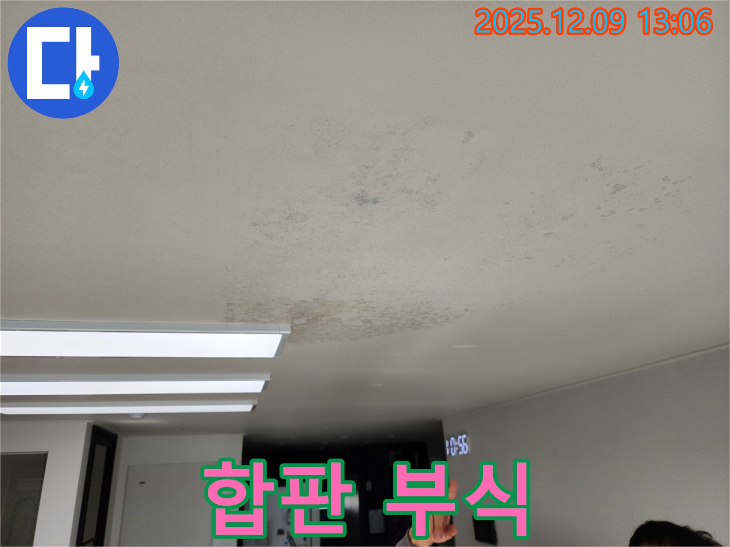 합판 부식 - 성동리 누수 현장에서 천장 합판이 썩고 있는 위험한 상황을 보여줍니다.