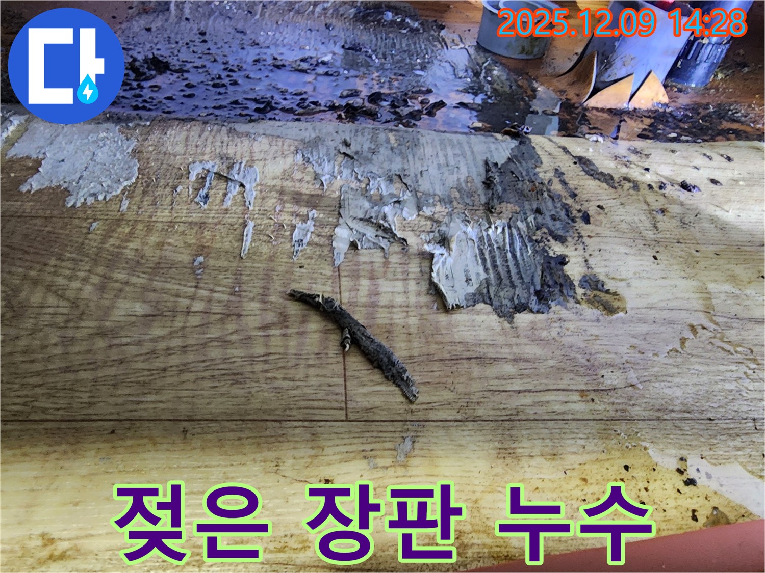 금주리 누수 해결 - 젖은 장판과 곰팡이 냄새, 누수 확진