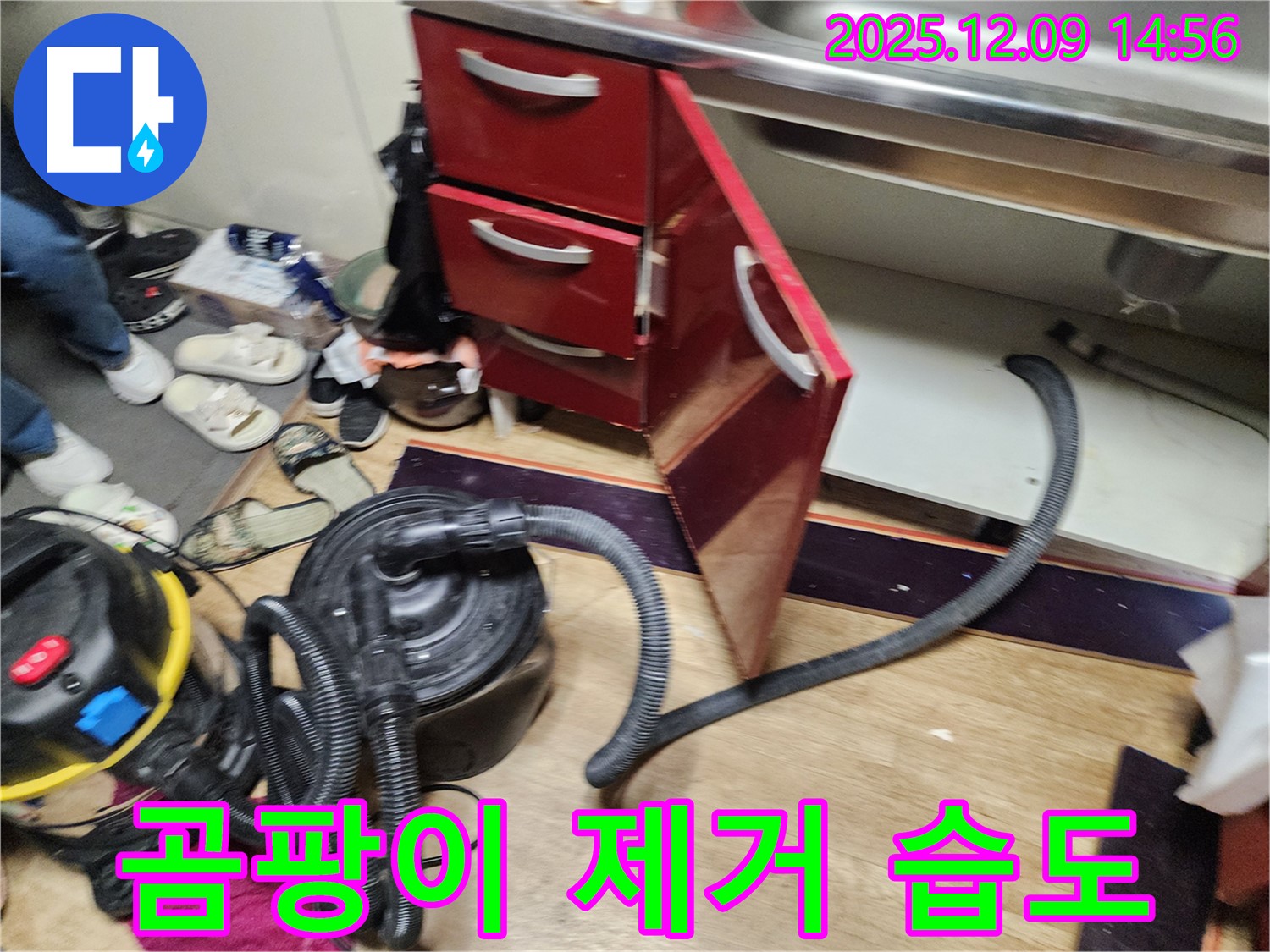 싱크대 하부 - 곰팡이 싹 없애고 습도 관리 비법까지!