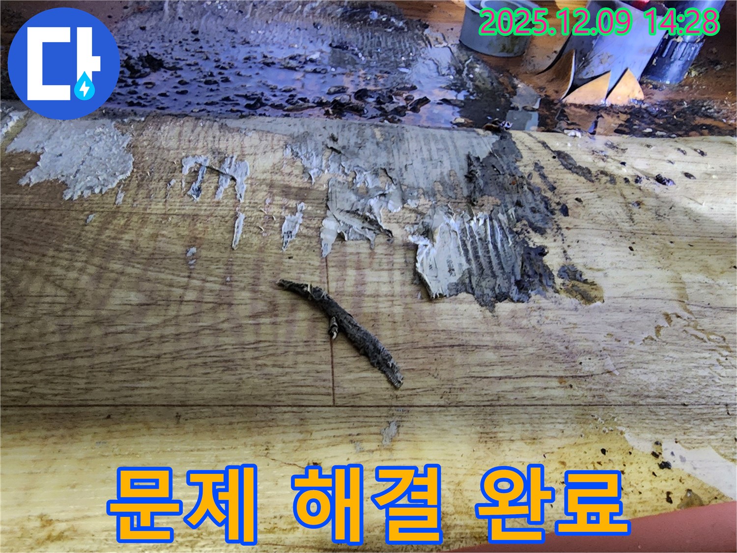 영중면 금주리 누수 해결 - 젖은 장판, 곰팡이, 낡은 배관, 완벽 해결
