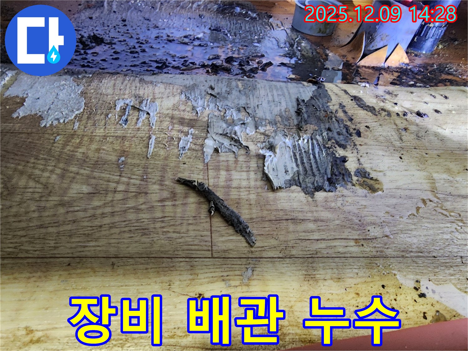 포천 누수 탐지 - 젖은 장판 밑 숨겨진 배관 누수 발견