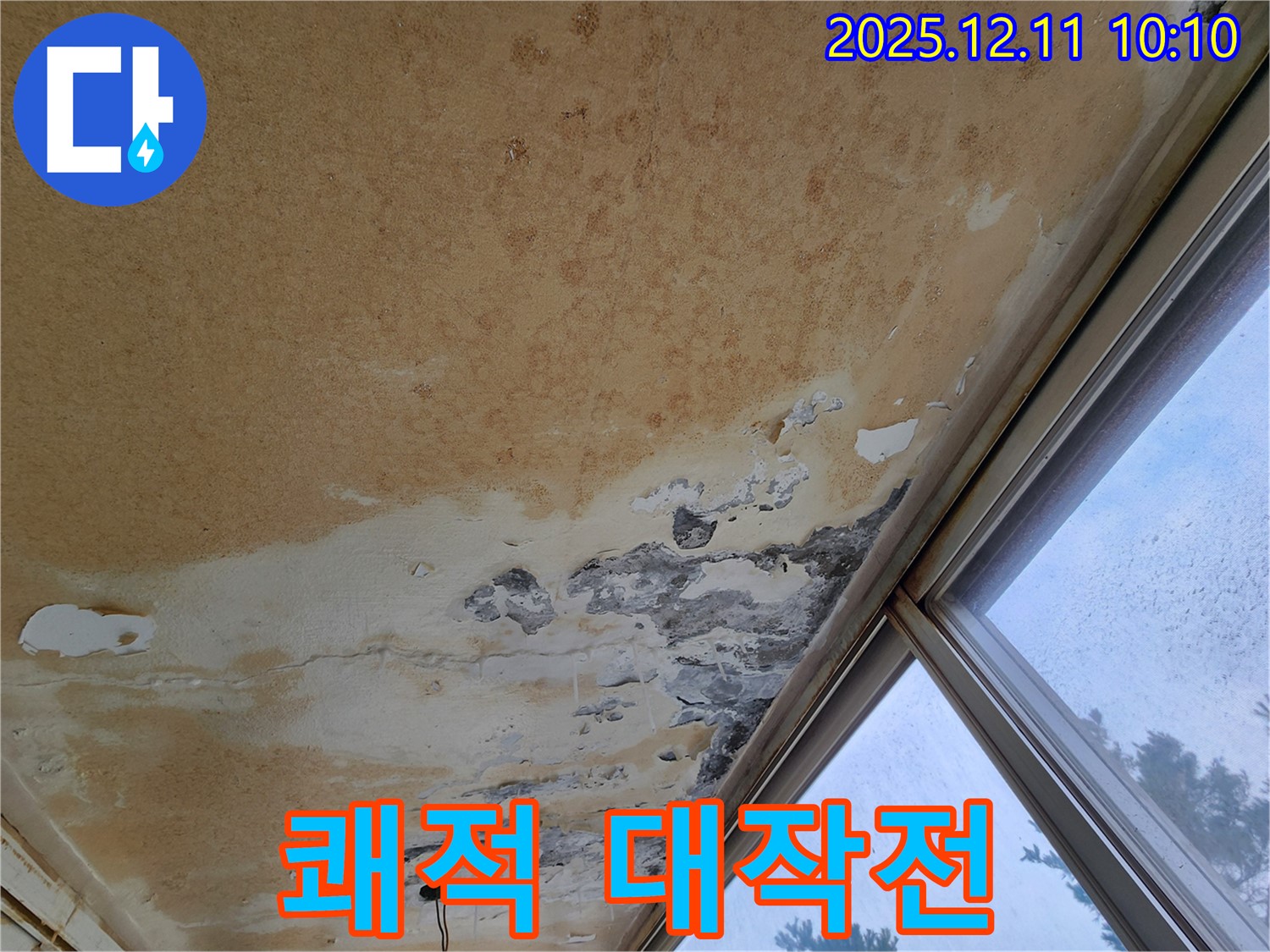곰팡이 냄새와 얼룩 - 쾌적한 공간 되찾기 대작전