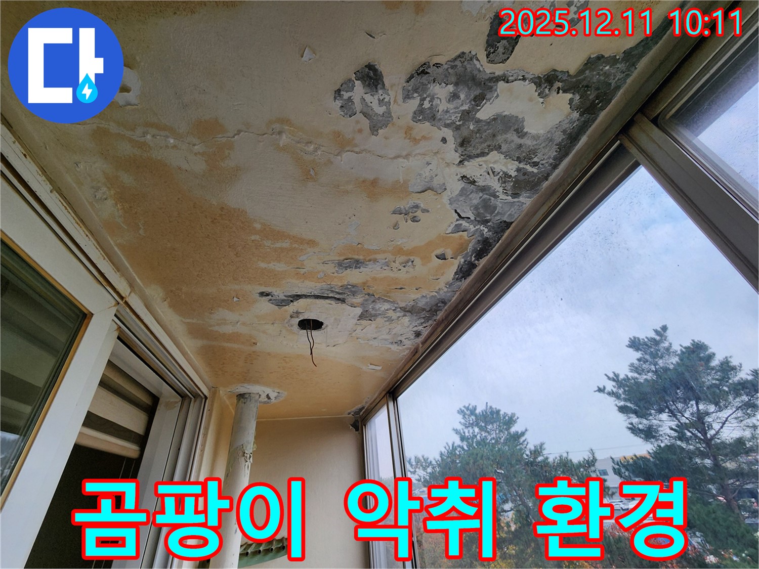 곰팡이 - 악취 - 쾌적한 환경 저해