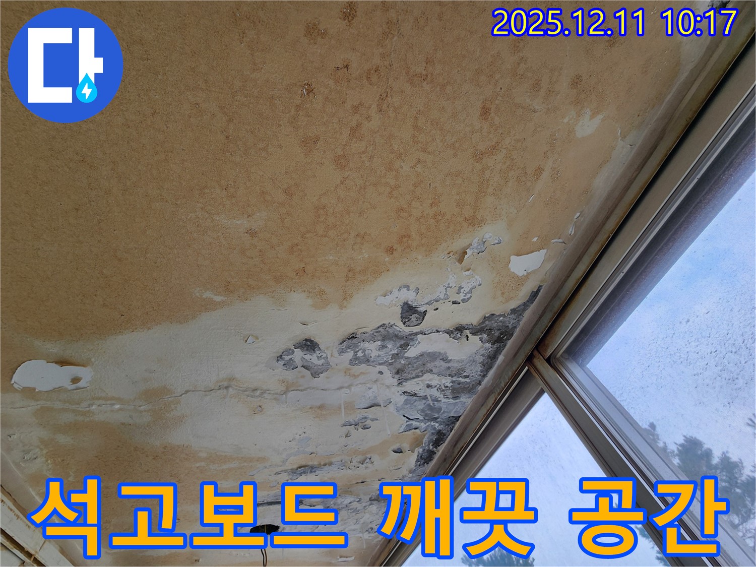 곰팡이 천장 - 깨끗한 공간, 석고보드 교체