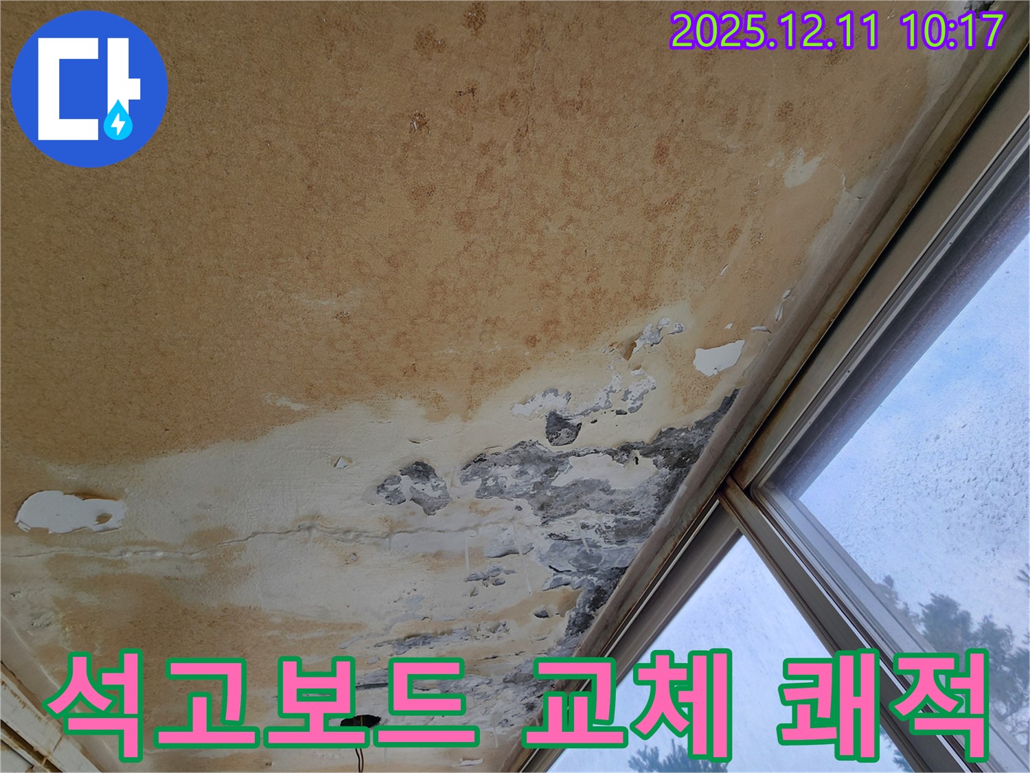 곰팡이 천장 - 석고보드 교체, 쾌적한 환경