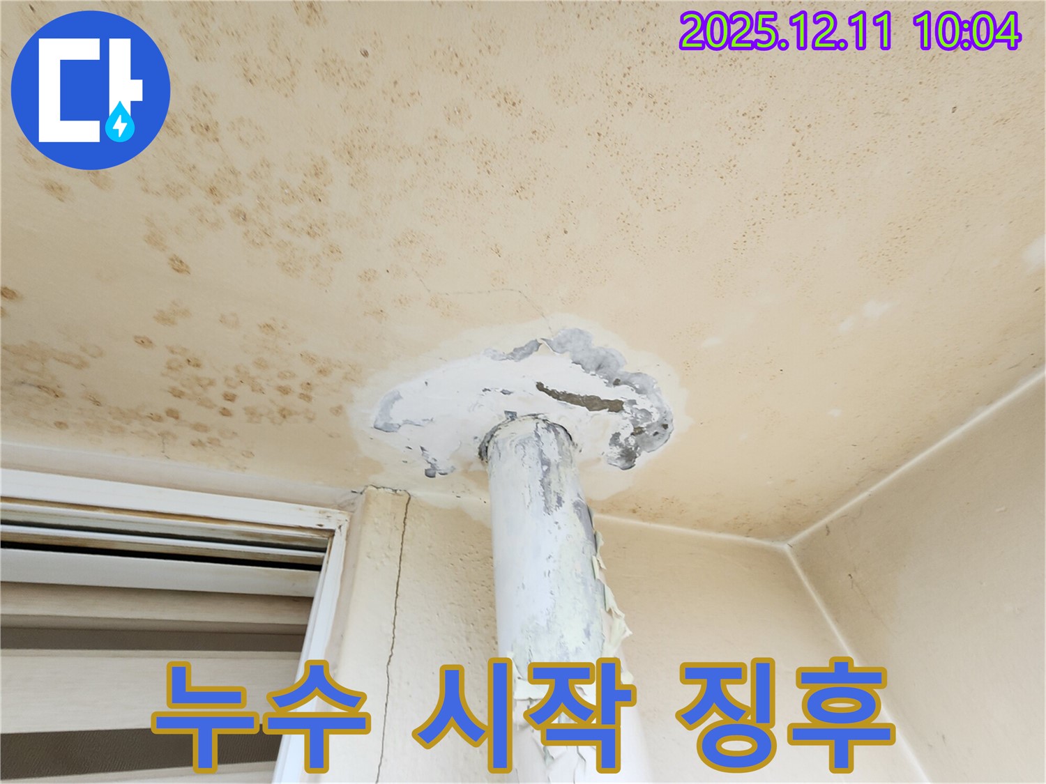 곰팡이 천장 - 설마 우리 집도 시작?!
