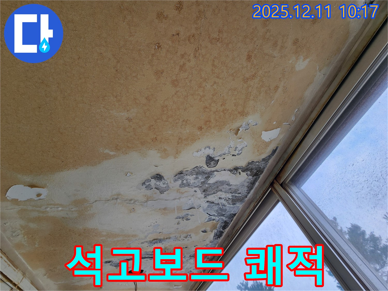 곰팡이 천장 - 쾌적한 환경, 석고보드 교체