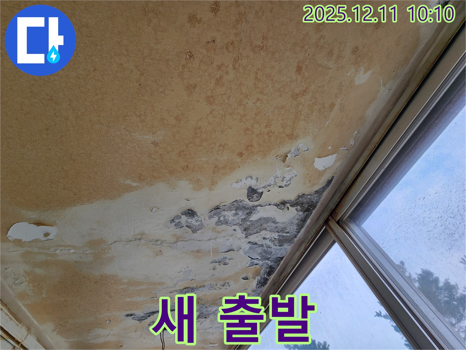 곰팡이와 함께 새 출발 - 쾌적한 보금자리