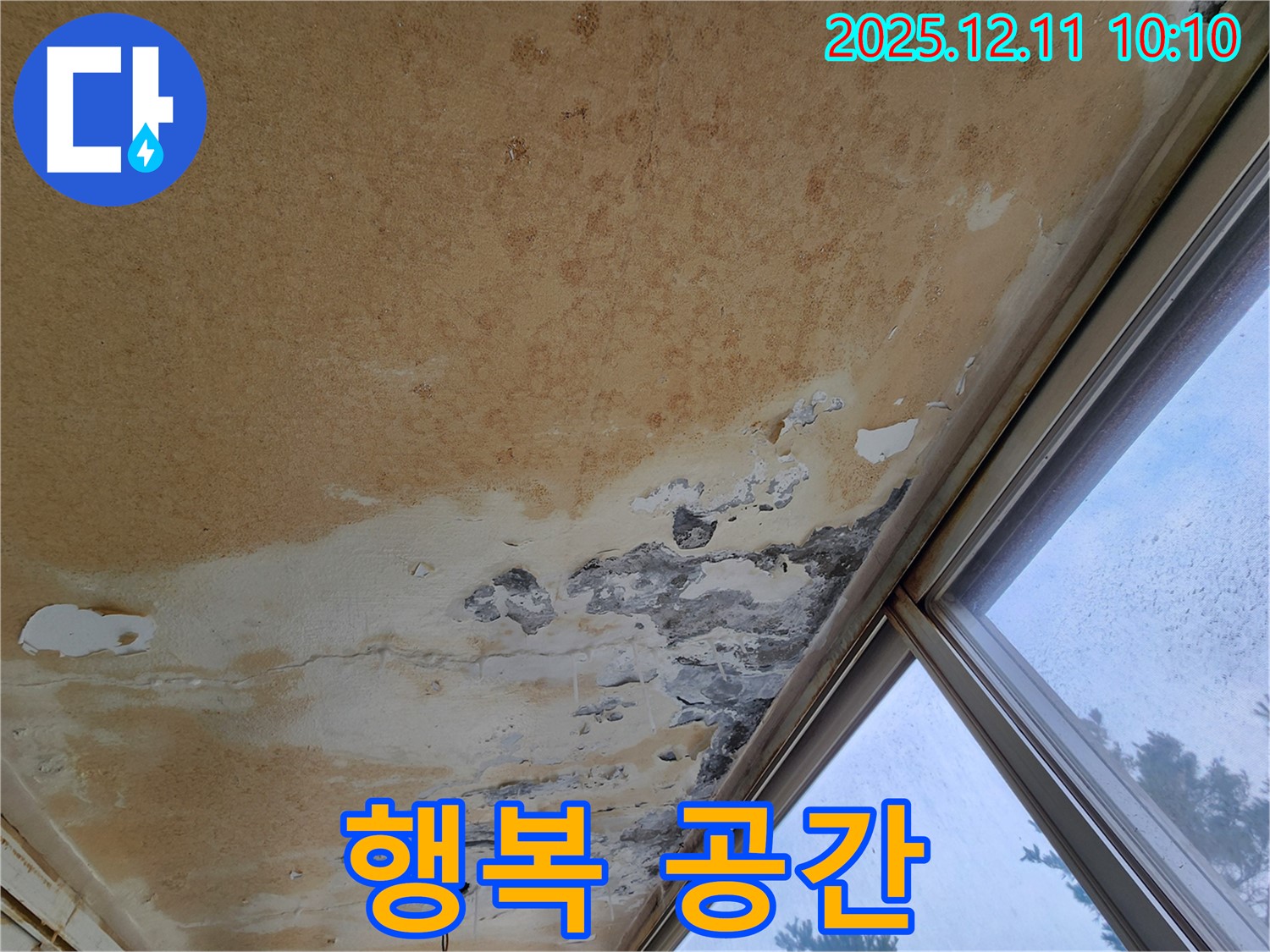 곰팡이와 함께 새 출발 - 행복 가득한 공간