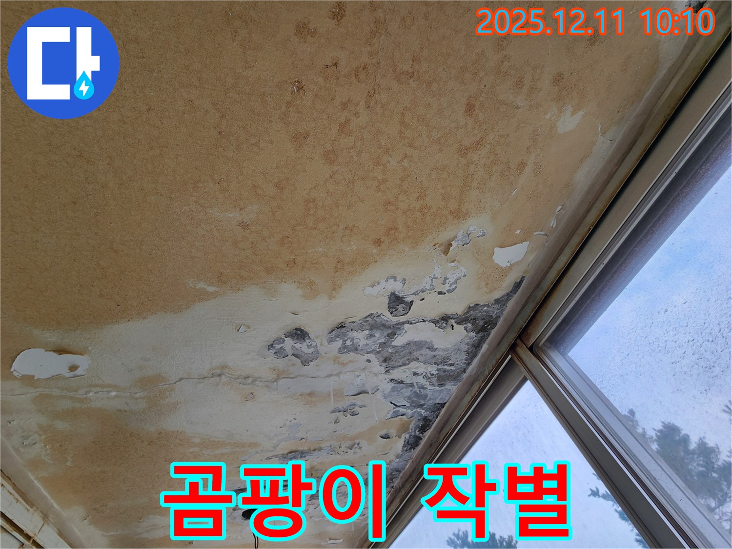 꼼꼼 시공 - 곰팡이와 영원히 작별