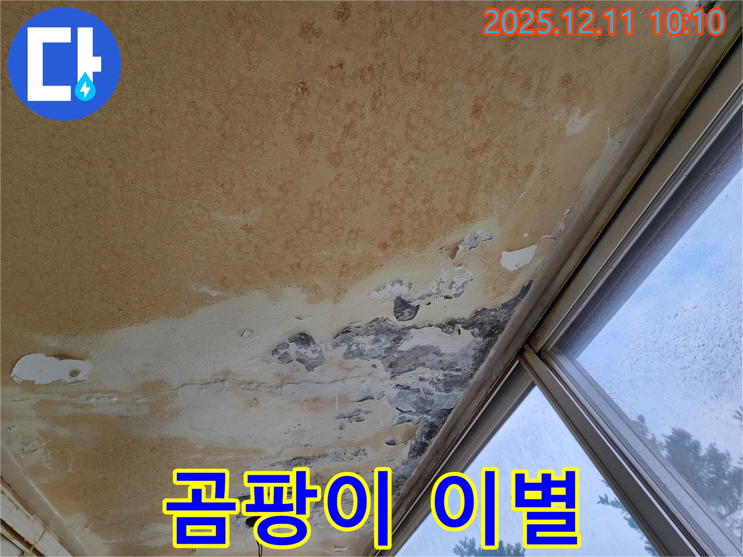 꼼꼼 시공 - 곰팡이와 이별