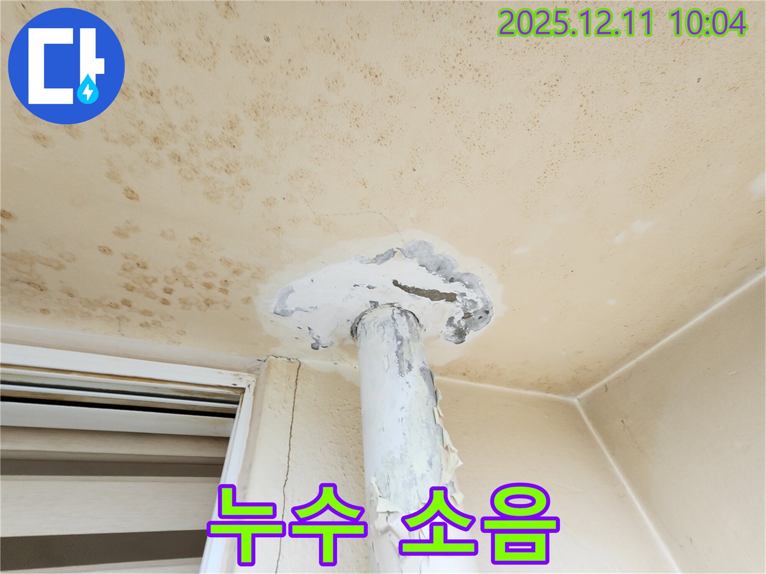 누수 - 밤에 잠을 못 자요!